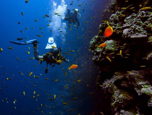 Crociera subacquea in Egitto