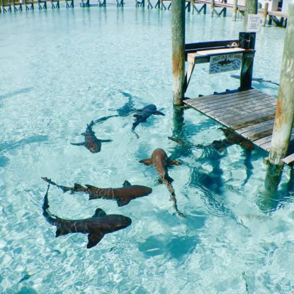 Delle vacanze con i piedi in acqua