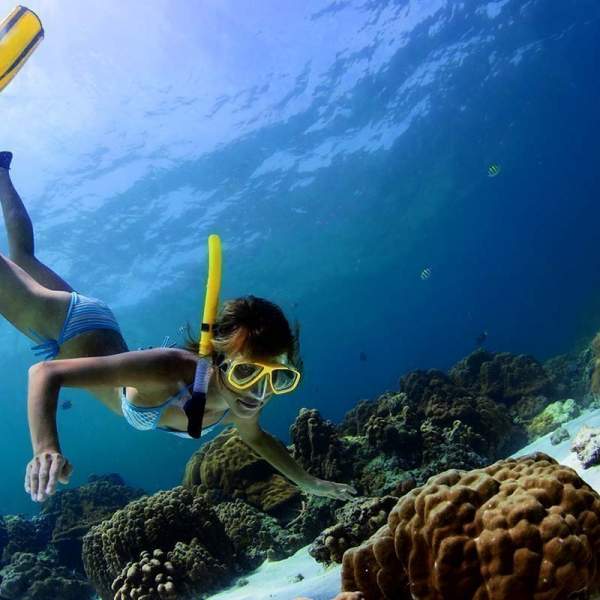 Snorkeling a Shahjahan