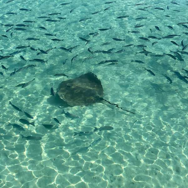I fondali marini di Maarikilu