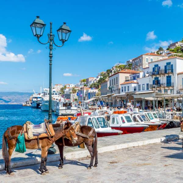 Si visita Hydra a piedi o a dorso d'asino !