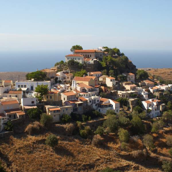 La bellezza selvaggia di Kea