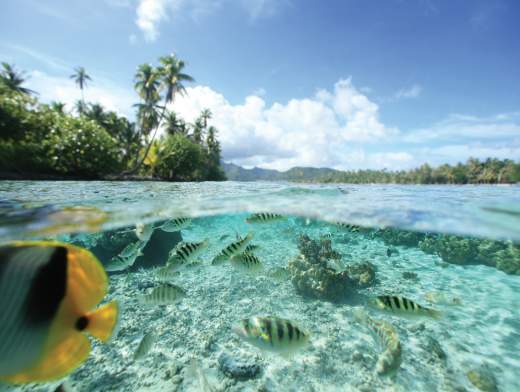 Crociera Terra & Mare in Polinesia