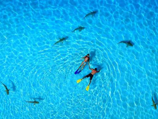 Crociera alla cabina in Tahiti