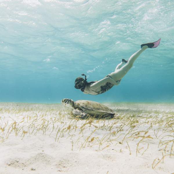 Nuotate e snorkeling saranno all'ordine del giorno!