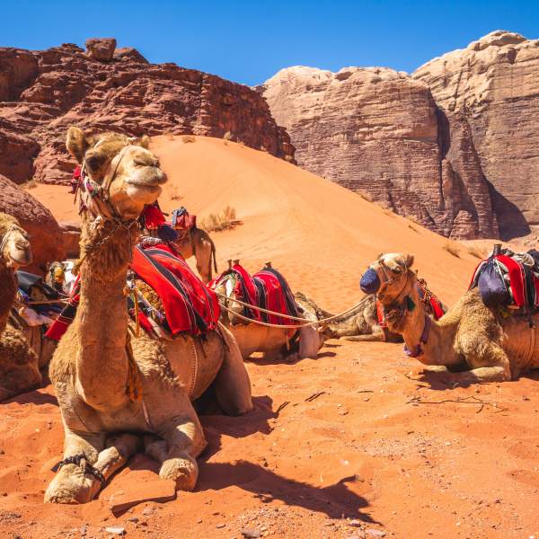 L'impressionante deserto del Wadi Rum