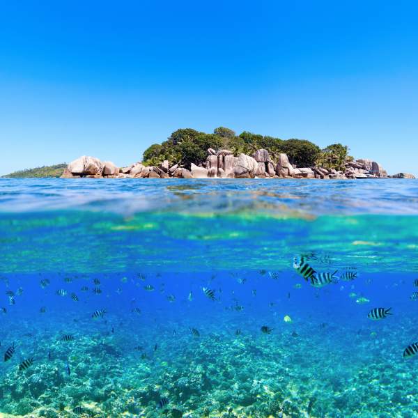 Le Seychelles : un paradiso terrestre e marittimo