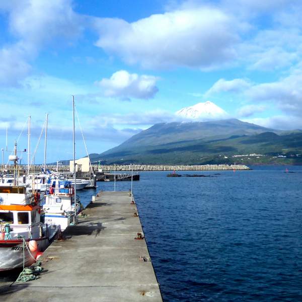 Scoprire il porto di Lajes e il monte Pico