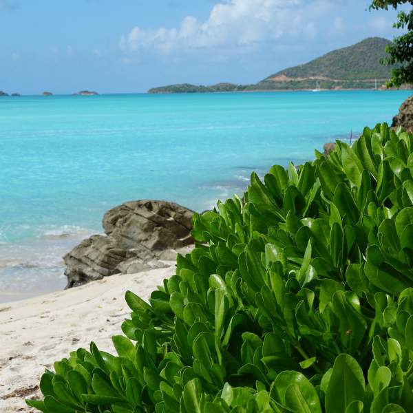 Pronto per andare ai Caraibi?