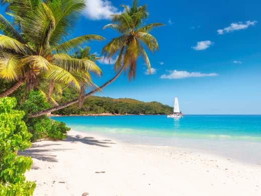 Naviga nelle Seychelles in catamarano