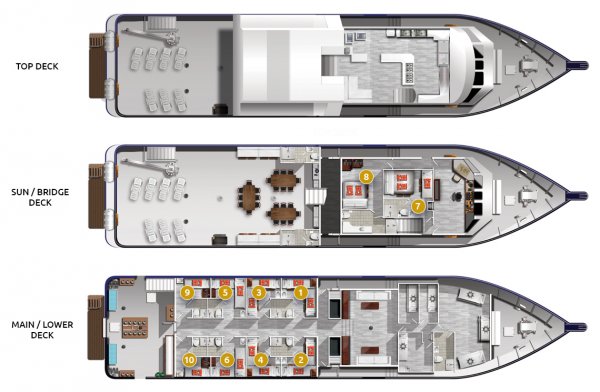 Layout