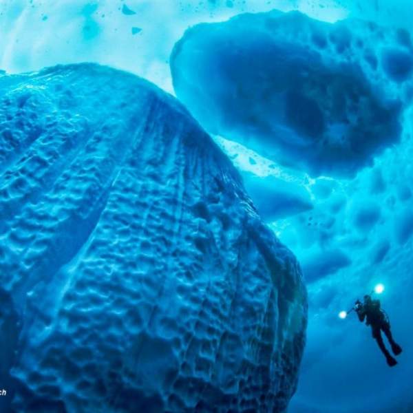 Immersione