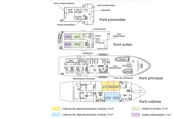 Layout