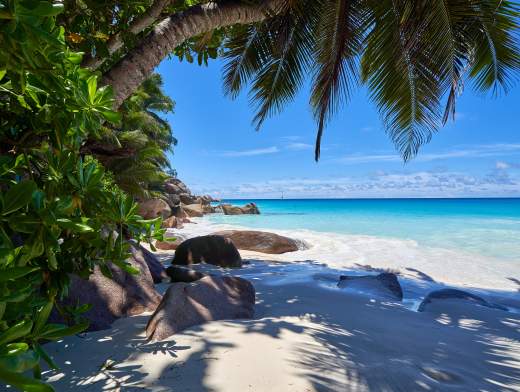 5 giorni da sogno alle Seychelles in catamarano