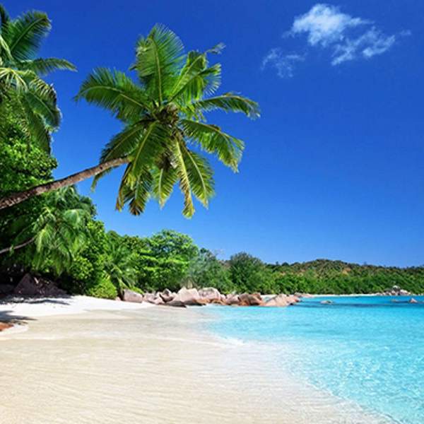 Anse Lazio, una delle spiagge più belle del mondo