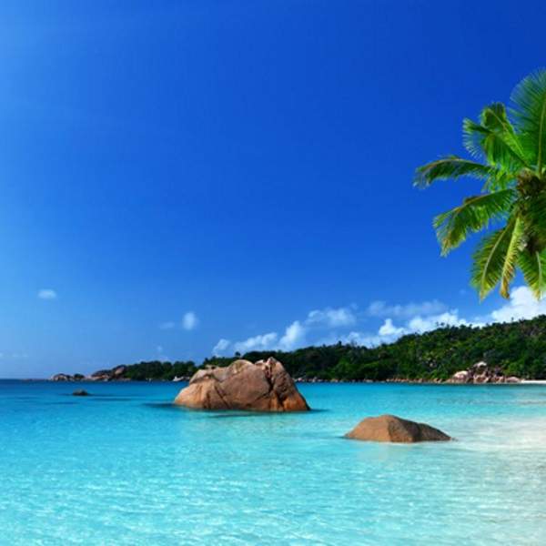 Anse Lazio, una delle più belle spiagge del mondo