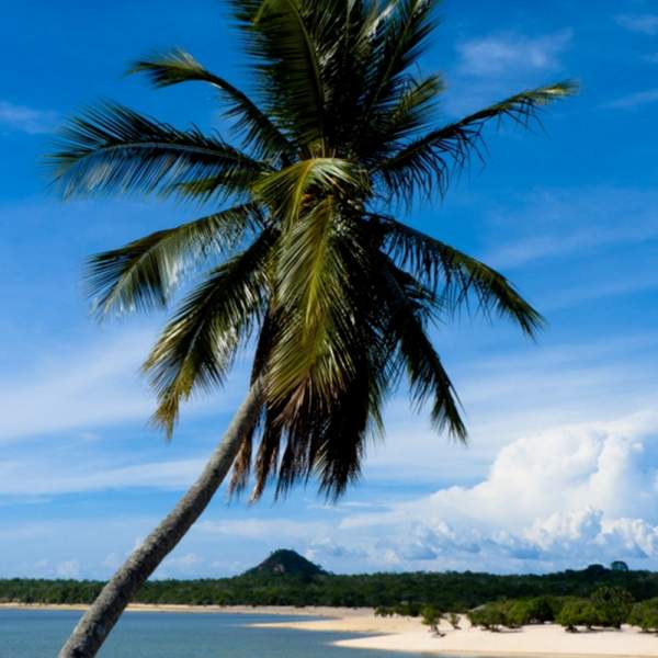 Alter do Chao, i Caraibi in Amazzonia