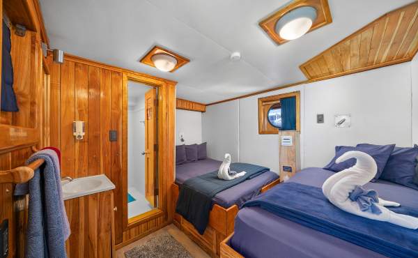 Cabina Twin Premium